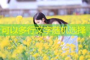 Shanghai's Internet popularization and digital divide issues