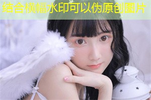 Agricultural financing channels and innovation in Shanghai